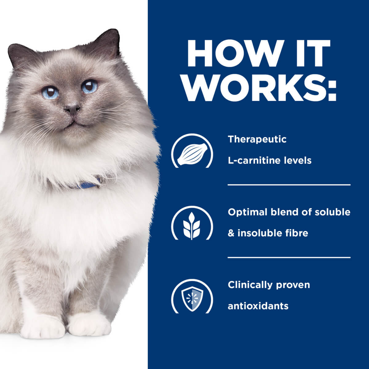 Hill's Prescription Diet R/D Weight Reduction Dry Cat Food