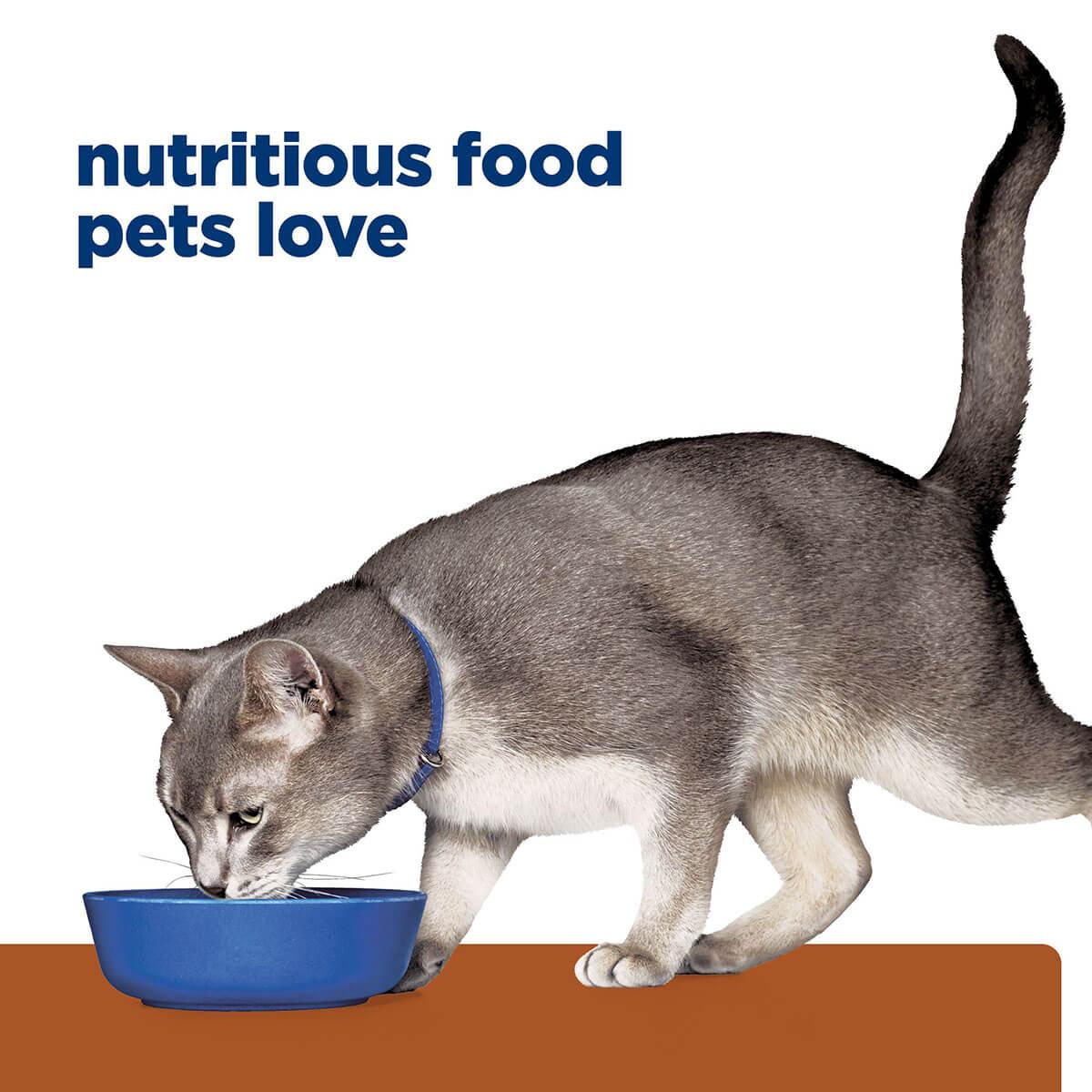 Hill's Prescription Diet K/D Kidney Care Dry Cat Food