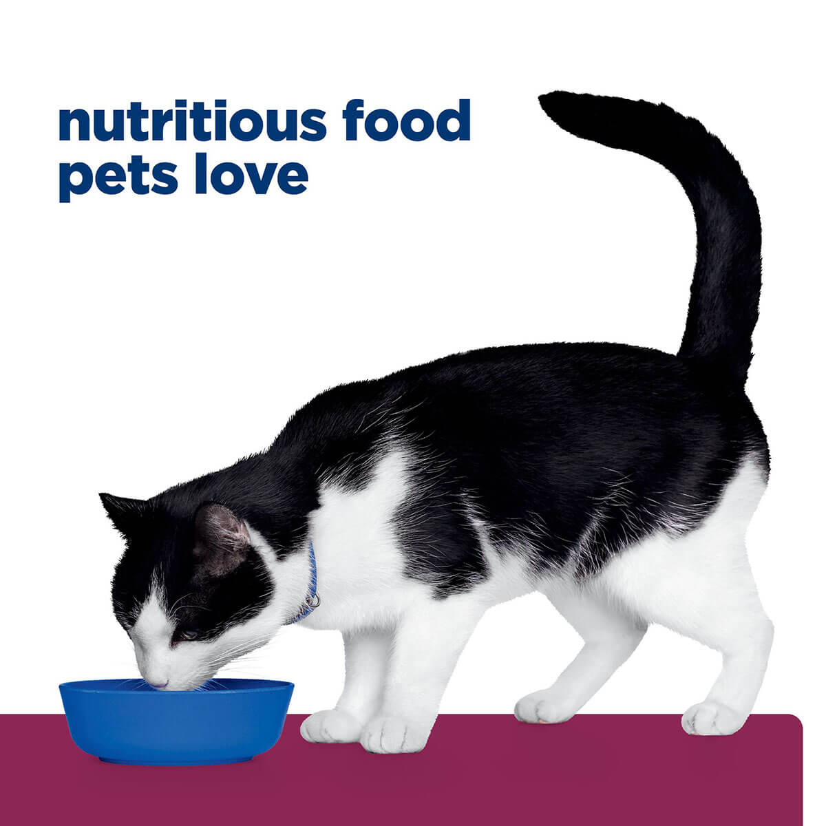 Hill's Prescription Diet I/D Digestive Care Chicken Wet Cat Food