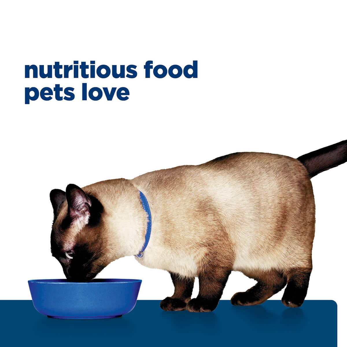 Hill's Prescription Diet Z/D Skin/Food Sensitivities Wet Cat Food 156g