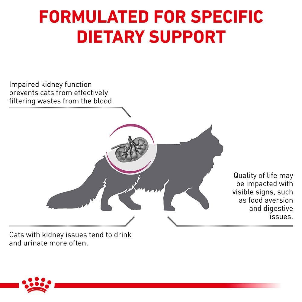 Royal Canin VET Renal Dry Cat Food