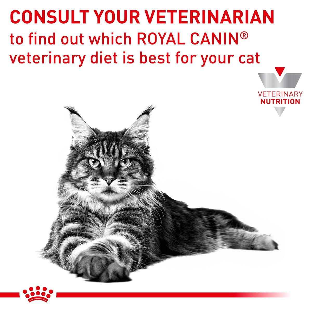 Royal Canin VET Hypoallergenic Dry Cat Food