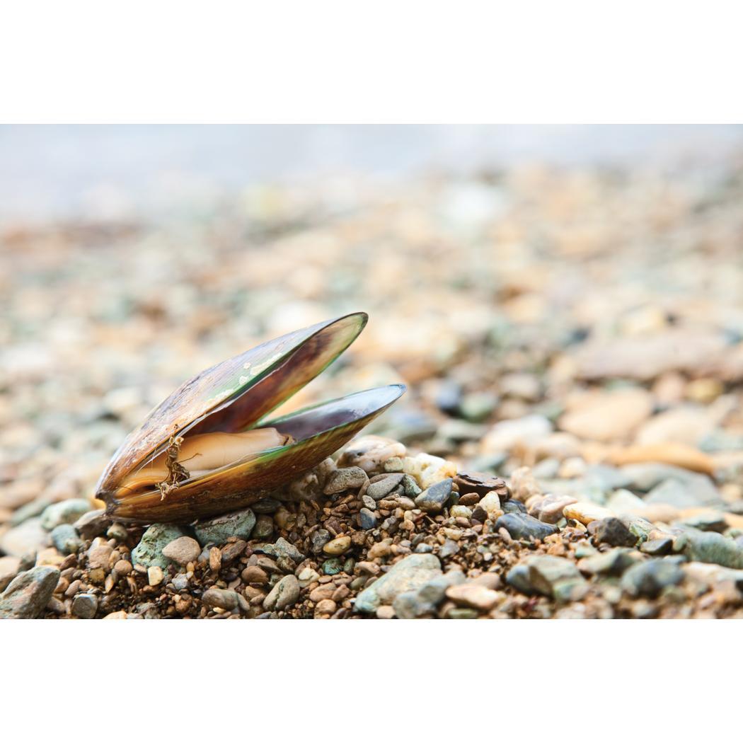 Fluval Colour Enhancing Flakes Tropical Fish Food