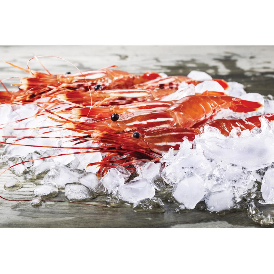 Fluval  Tropical Sinking Pellet Food  for Medium Fish