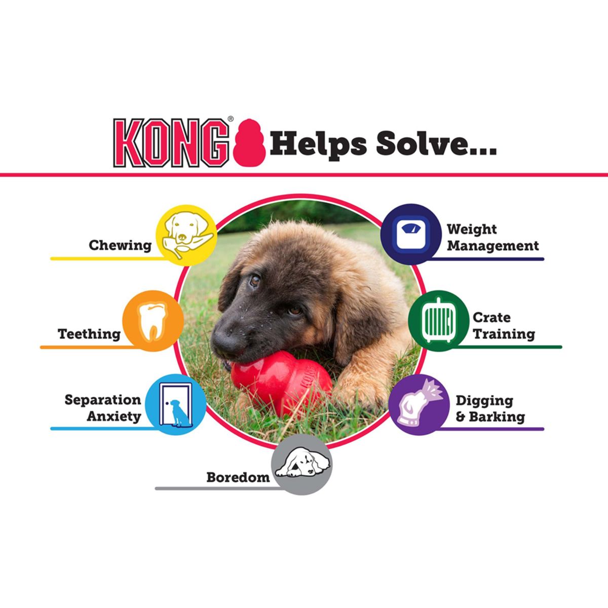 KONG Extreme Treat Dispensing Dog Toy for Powerful Chewers
