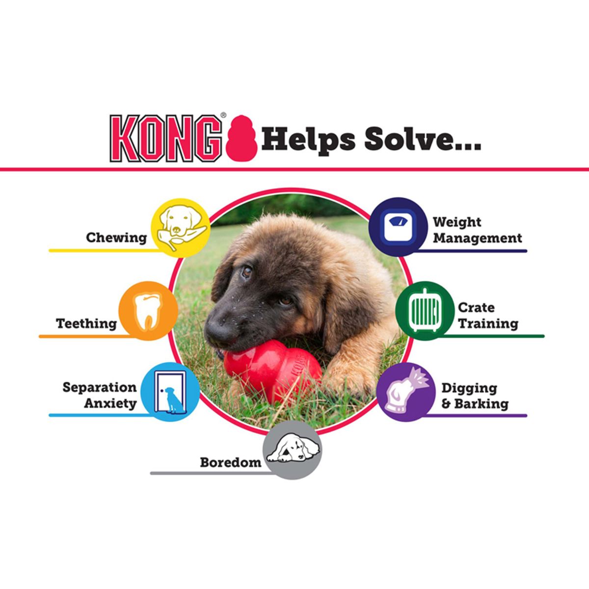 KONG Classic Treat Dispensing Dog Toy