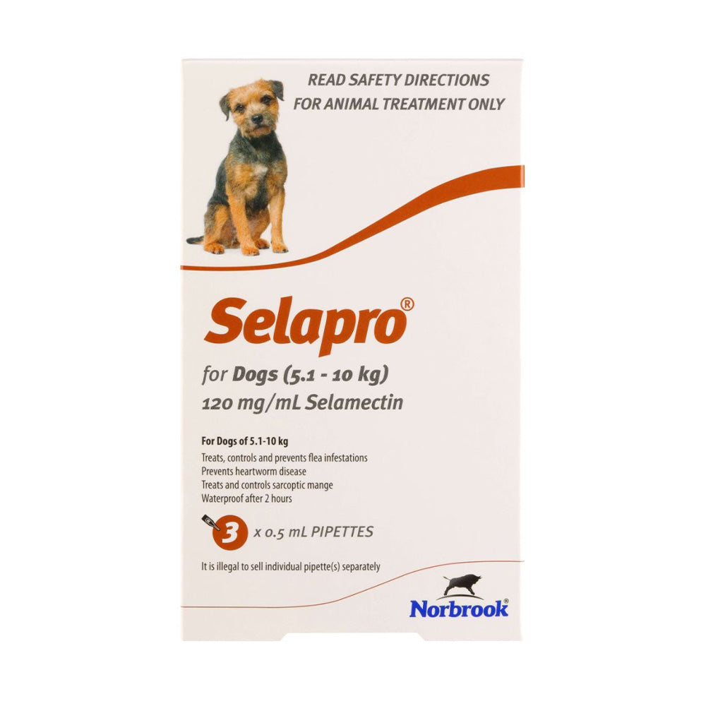 Selapro Flea & Worming Spot On Treatment 5.1-10kg Dog