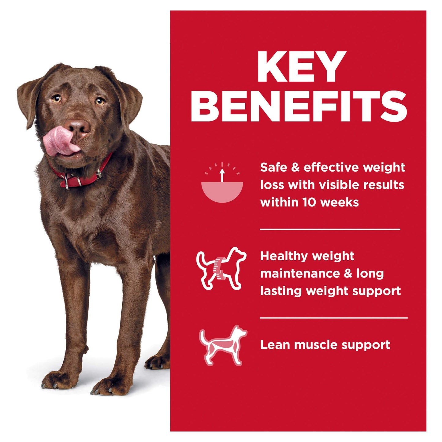 Hill's Science Diet Perfect Weight Large Breed Adult Dry Dog Food