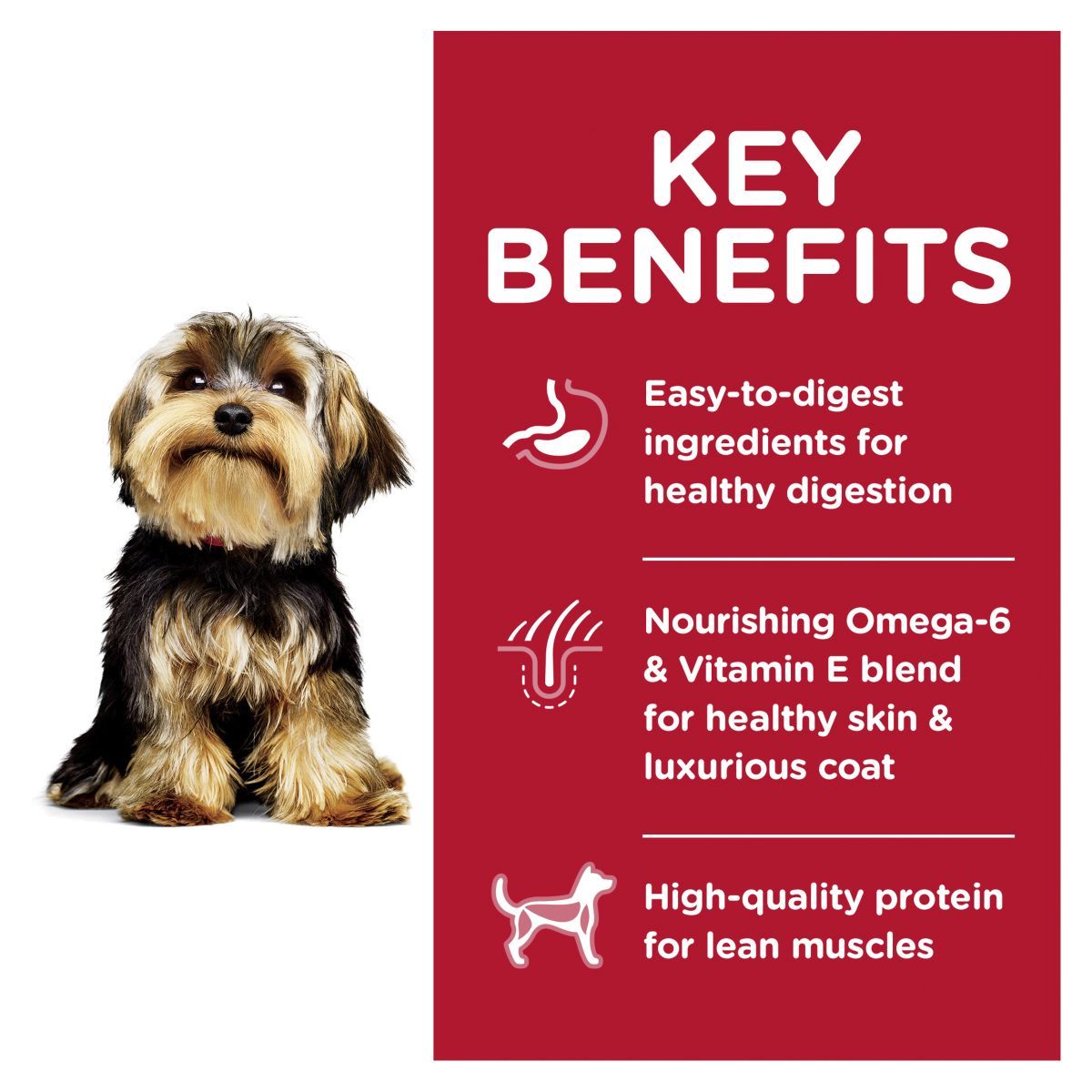 Hill's Science Diet Small Paws Adult Lamb & Rice Dry Dog Food