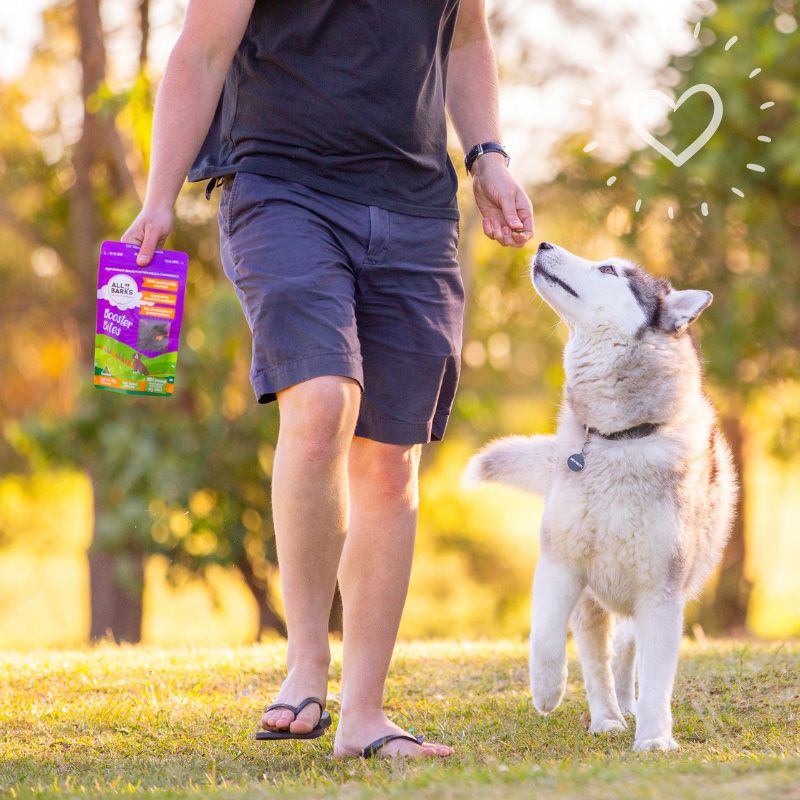 All Barks Beef Booster Bites Dog Treats