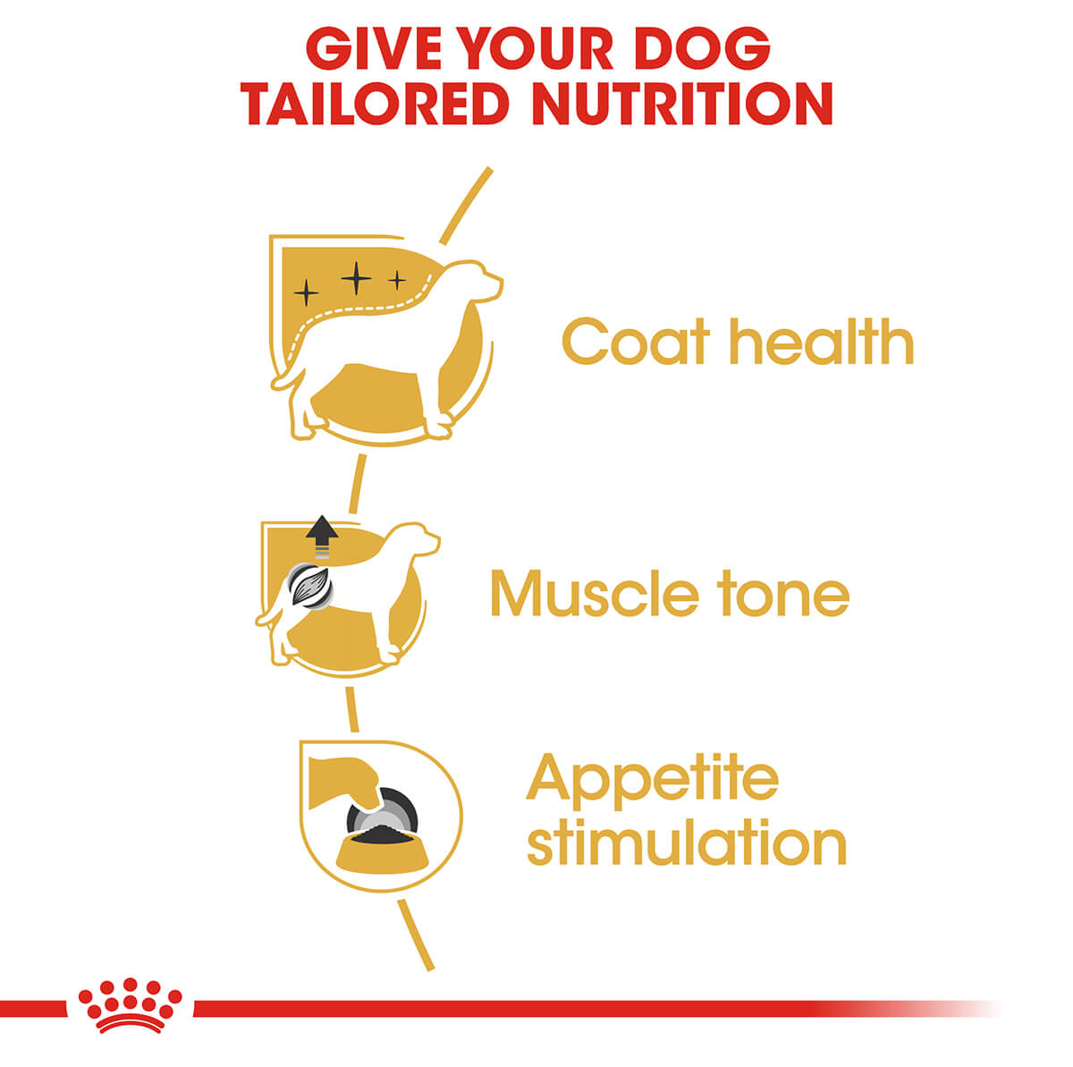 Royal Canin Poodle Adult Wet Dog Food