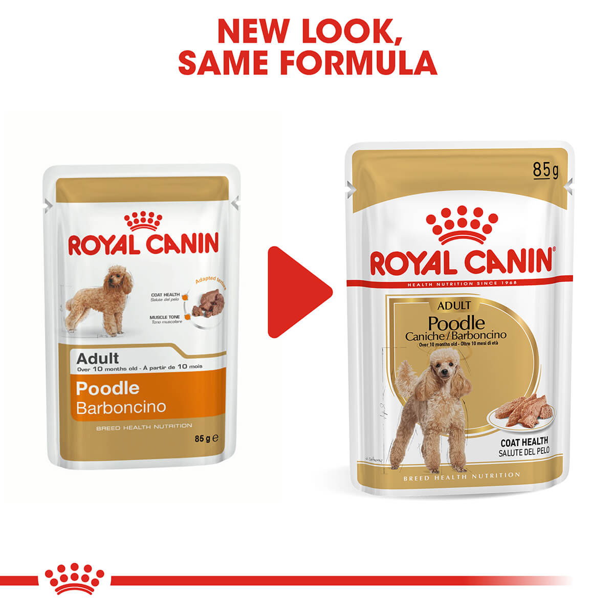 Royal Canin Poodle Adult Wet Dog Food