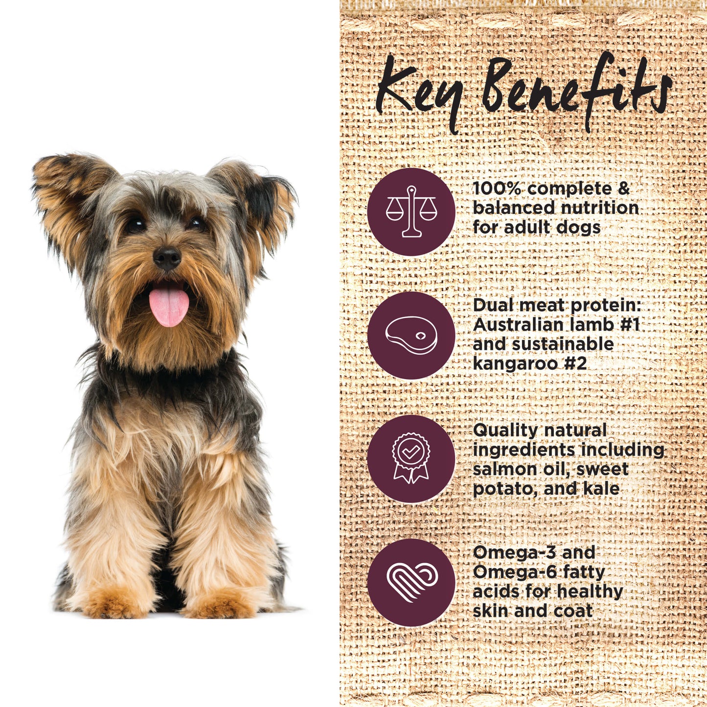 Ivory Coat Grain Free Adult Lamb & Kangaroo Dry Dog Food