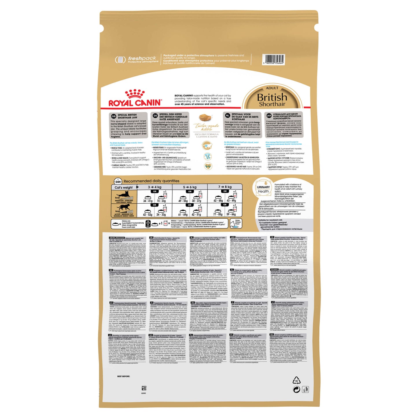 Royal Canin British Shorthair Adult Dry Cat Food (100000003384) [default_color]