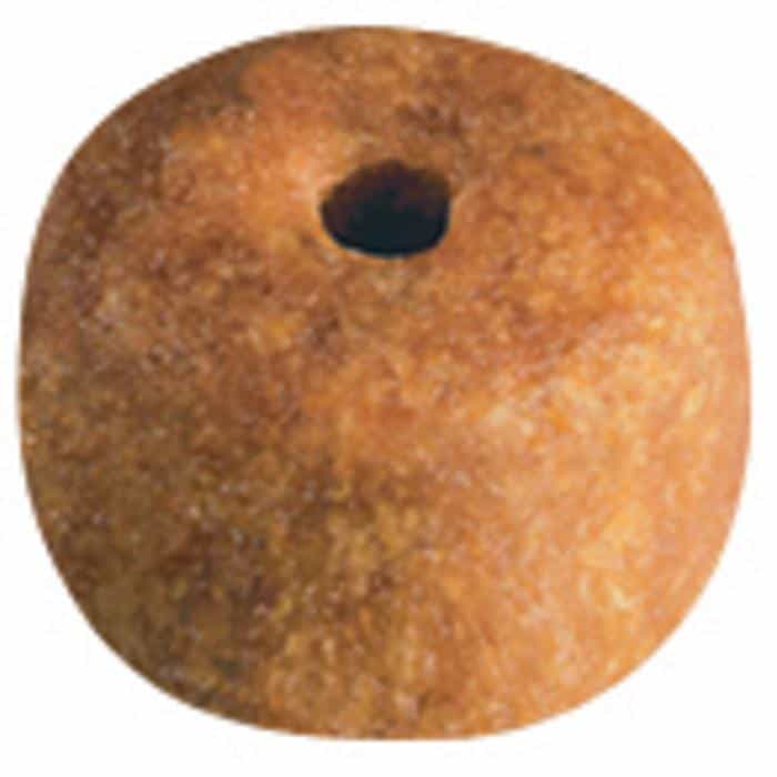 Royal Canin Siamese Adult Dry Cat Food (100000003568) [default_color]