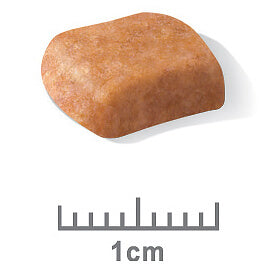 Royal Canin Poodle Dry Dog Food (100000005443) [default_color]