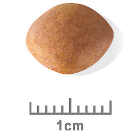 Royal Canin Cavalier King Charles Puppy Dry Dog Food (100000005445) [default_color]