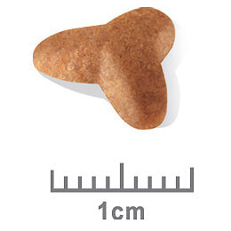 Royal Canin Pug Puppy Dry Dog Food (100000005446) [default_color]