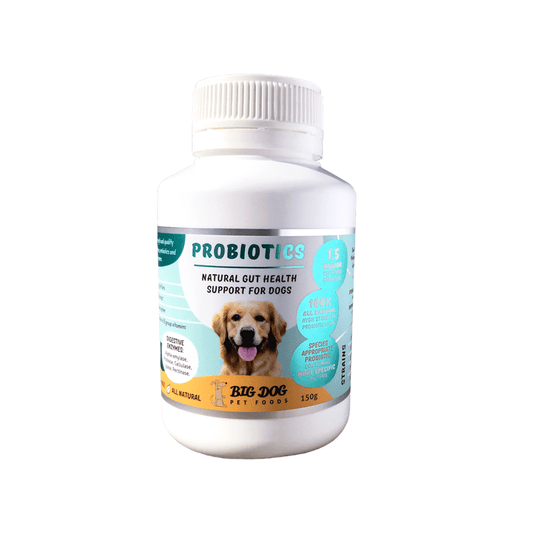 Big Dog Probiotics for Dogs