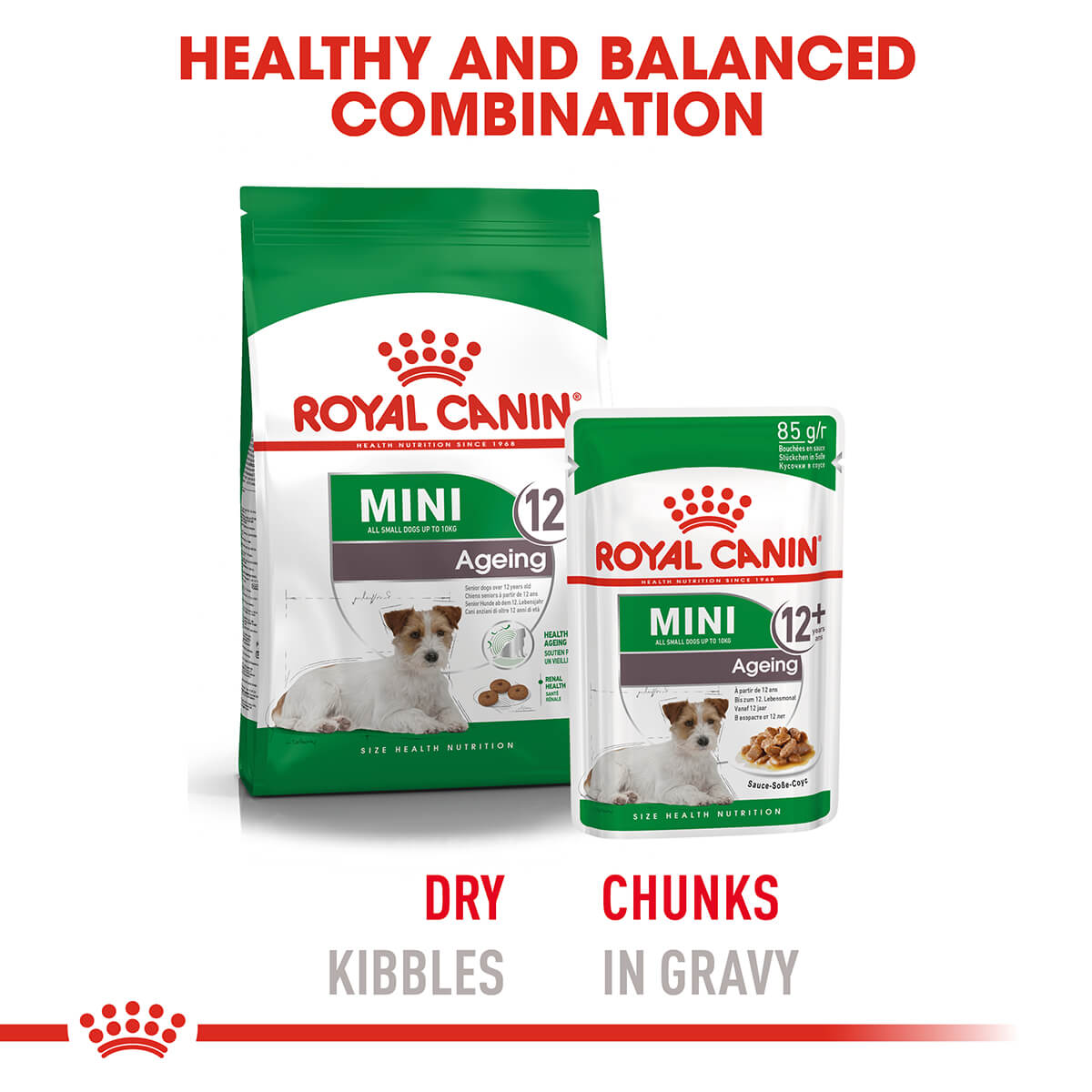 Royal Canin Mini Ageing Senior Wet Dog Food