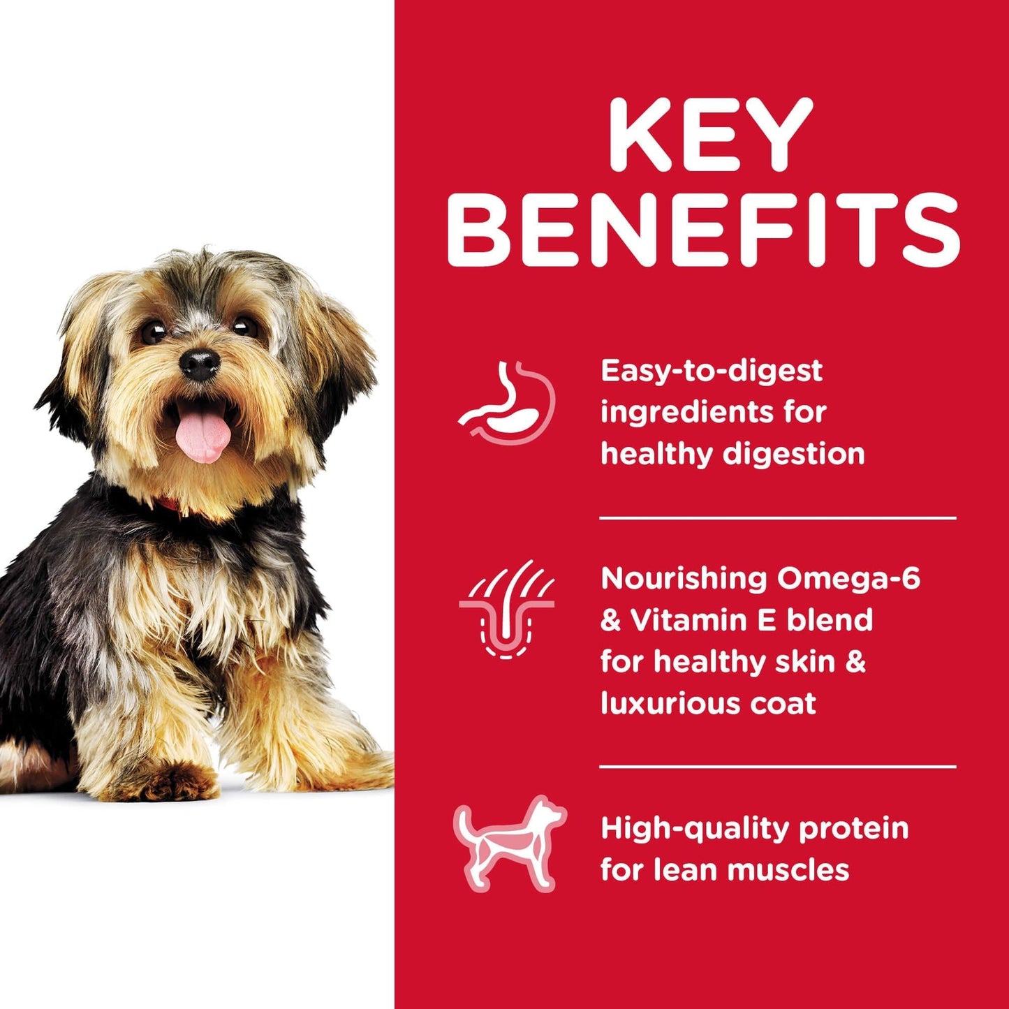 Hill's Science Diet Small & Mini Adult Dry Dog Food