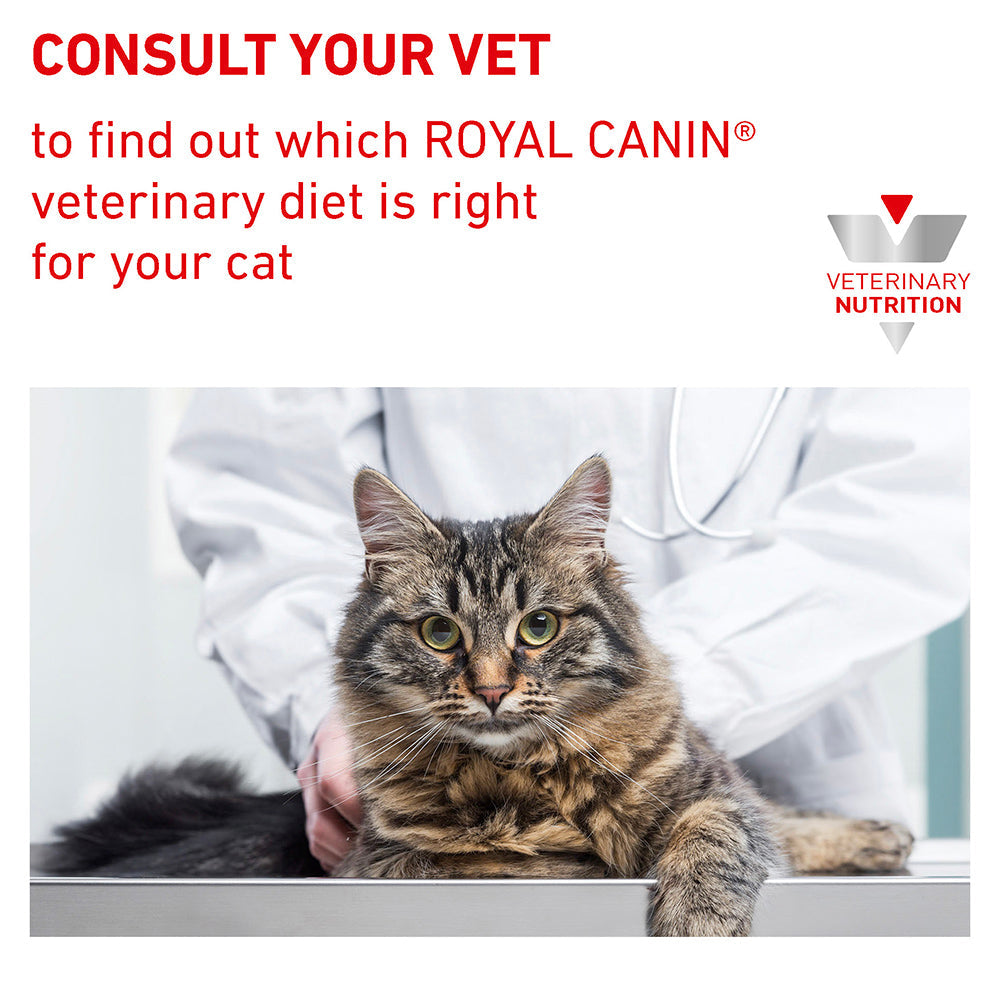 Royal Canin Veterinary Urinary S/O Moderate Calorie Dry Cat Food