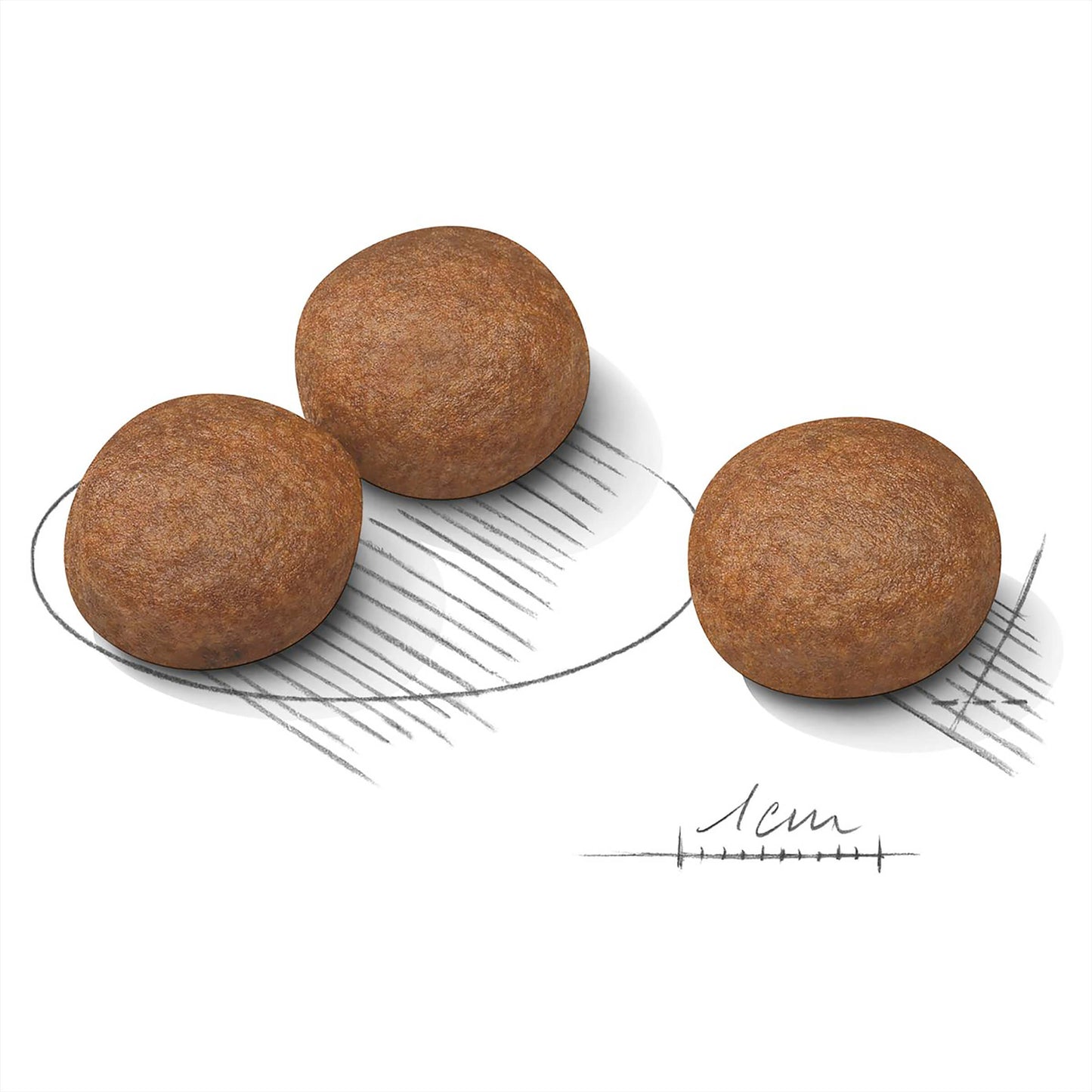 Royal Canin Medium Digestive Care Adult Dry Dog Food (100000013306) [default_color]