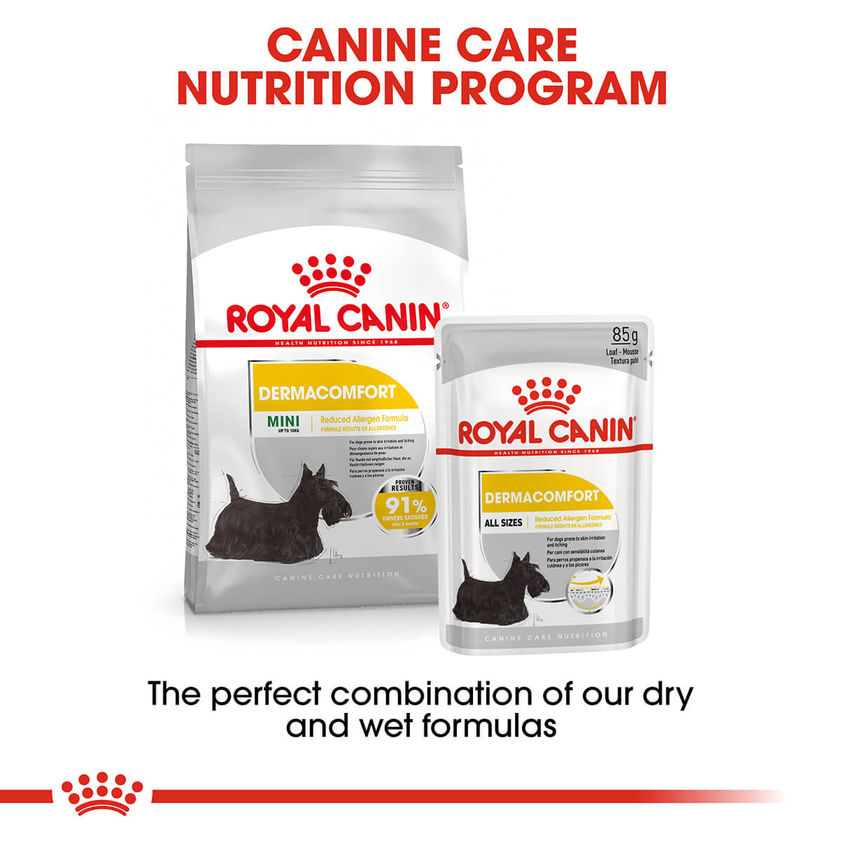 Royal Canin Mini Dermacomfort Adult Dry Dog Food