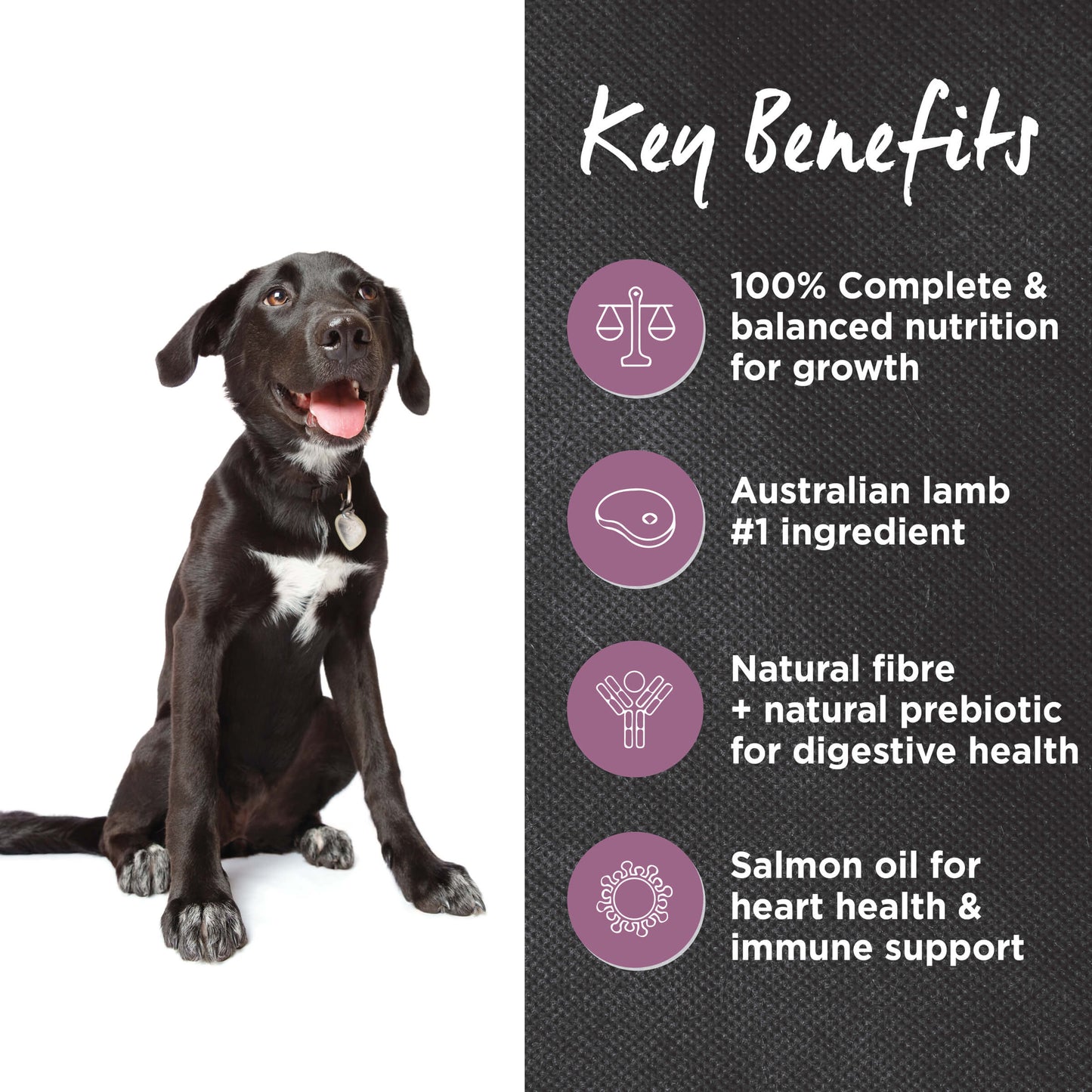 Ivory Coat Puppy Lamb & Brown Rice Dry Dog Food