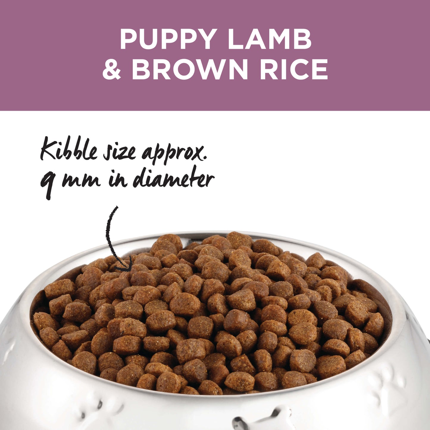 Ivory Coat Puppy Lamb & Brown Rice Dry Dog Food