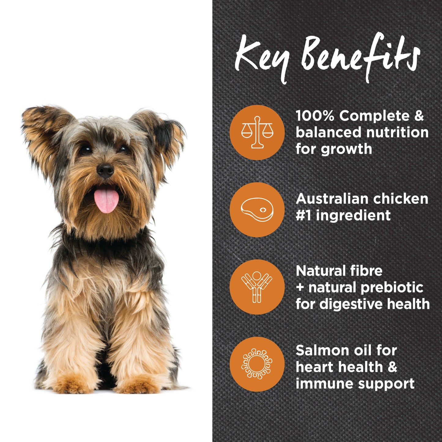 Ivory Coat Adult Chicken & Brown Rice Dry Dog Food