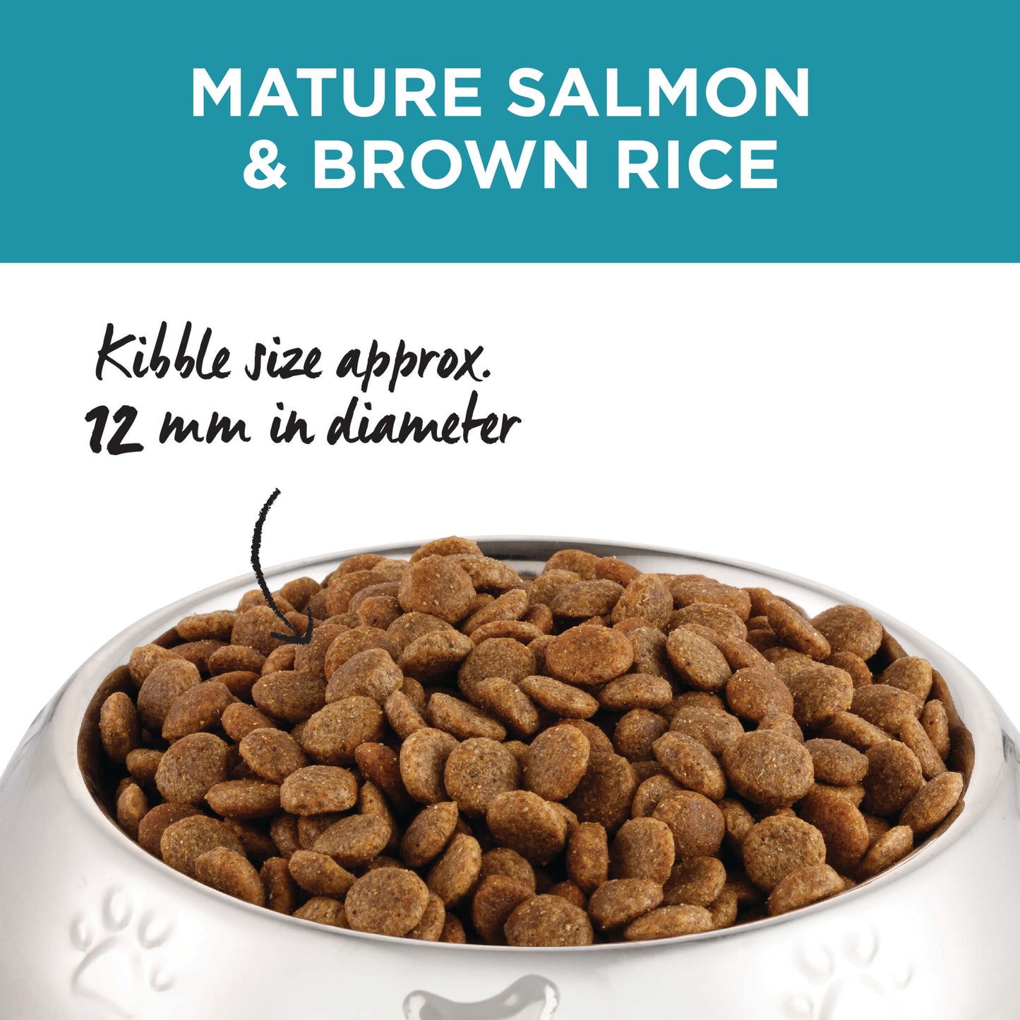 Ivory Coat Mature Adult Salmon & Brown Rice Dry Dog Food
