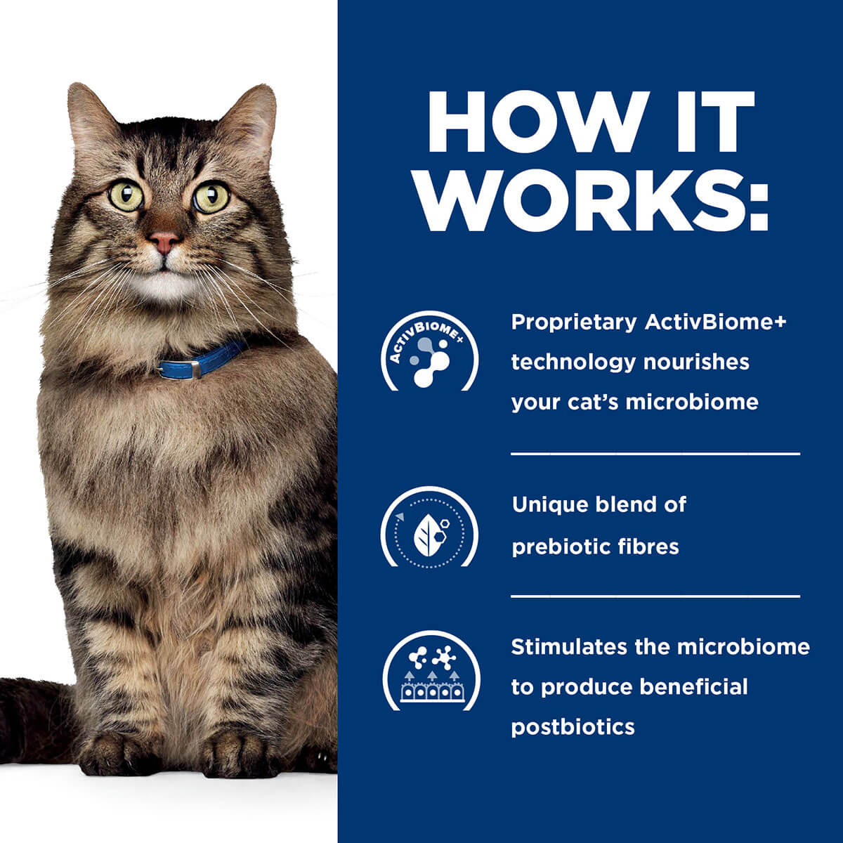 Hill's Prescription Diet Gastrointestinal Biome Stress Digestive/Fibre Care Dry Cat Food 1.8kg