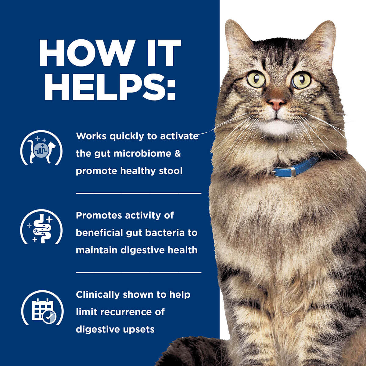 Hill's Prescription Diet Gastrointestinal Biome Stress Digestive/Fibre Care Dry Cat Food 1.8kg