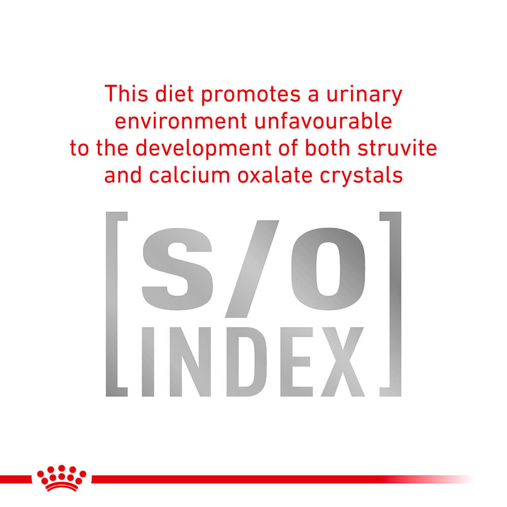 Royal Canin Veterinary Sensitivity Control Adult Wet Cat Food