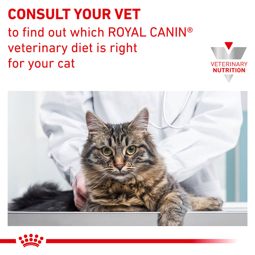Royal Canin Veterinary Sensitivity Control Adult Wet Cat Food