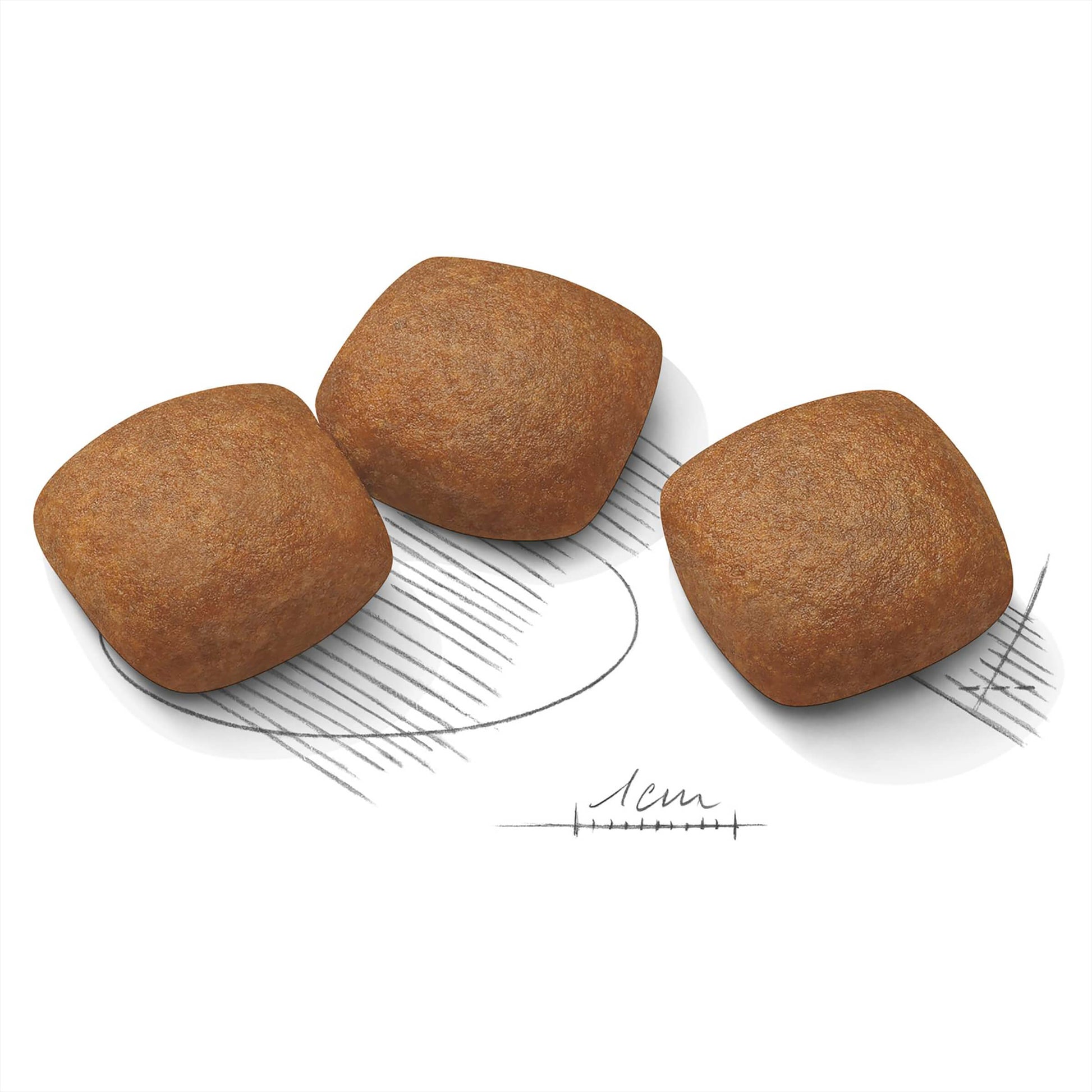 Royal Canin Maxi Joint Care Adult Dry Dog Food (100000018991) [default_color]