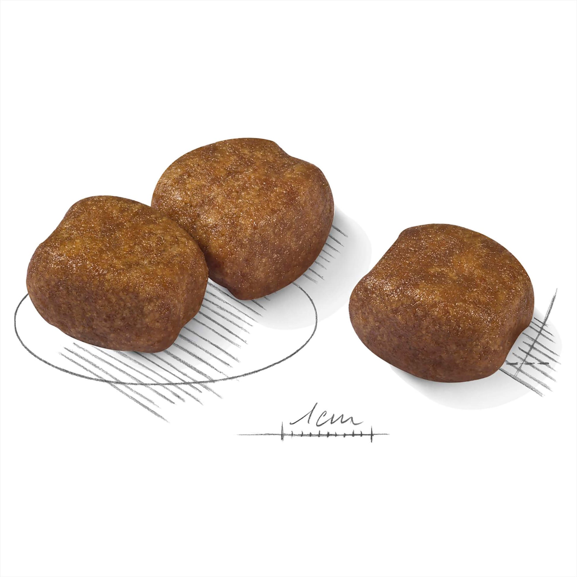 Royal Canin Maxi Dental Care Adult Dry Dog Food (100000018992) [default_color]