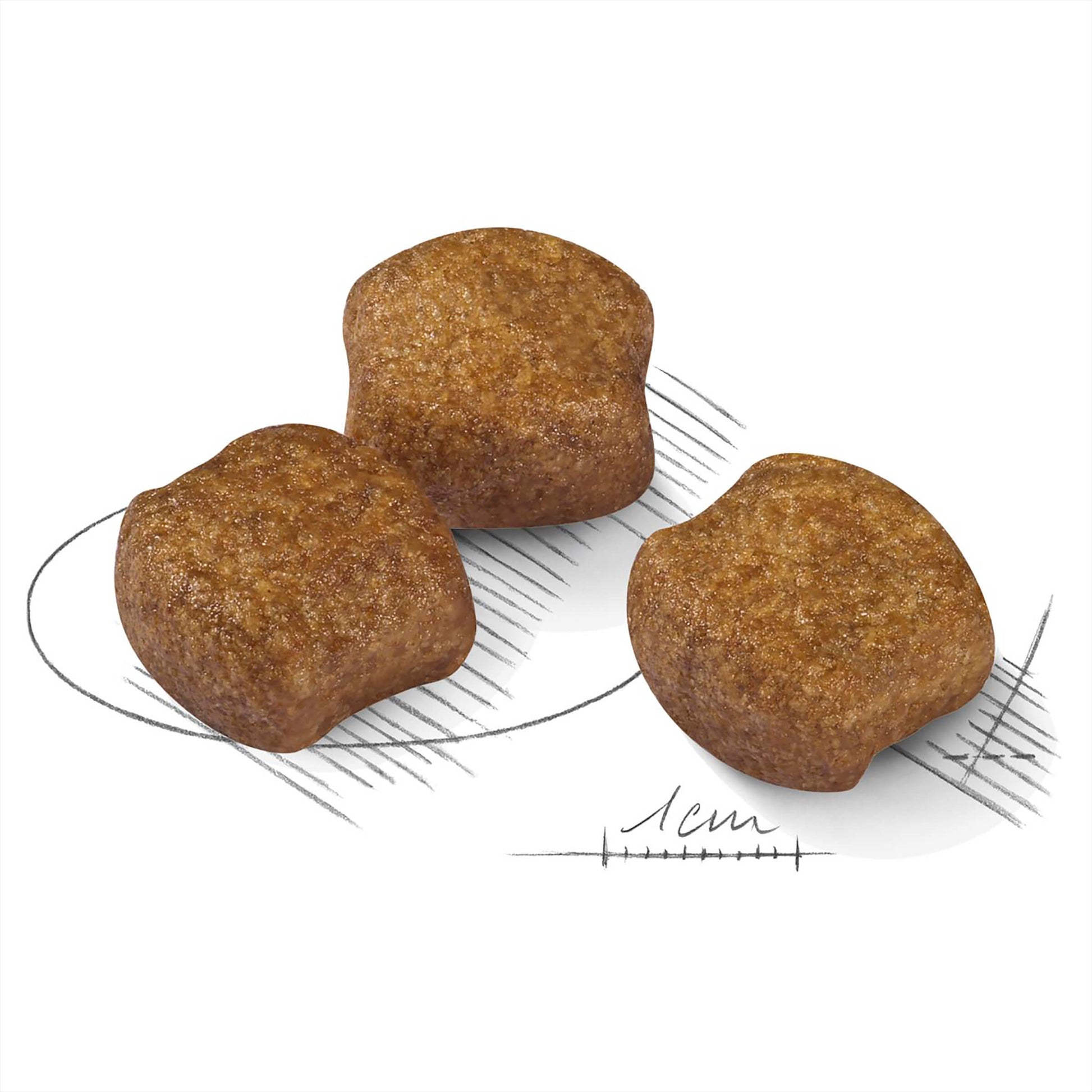 Royal Canin Medium Dental Care Adult Dry Dog Food (100000018993) [default_color]