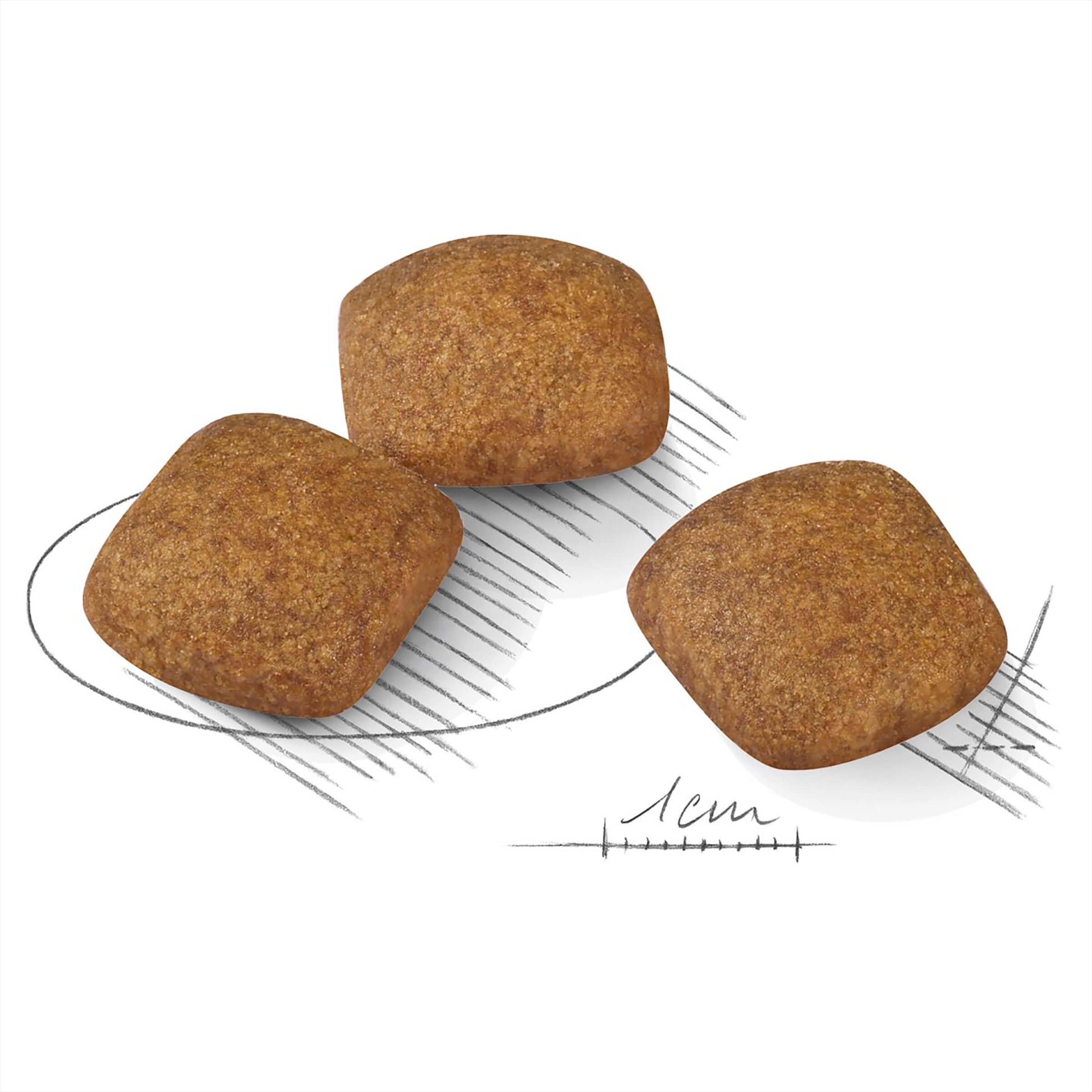 Royal Canin Medium Relax Care Adult Dry Dog Food (100000018995) [default_color]