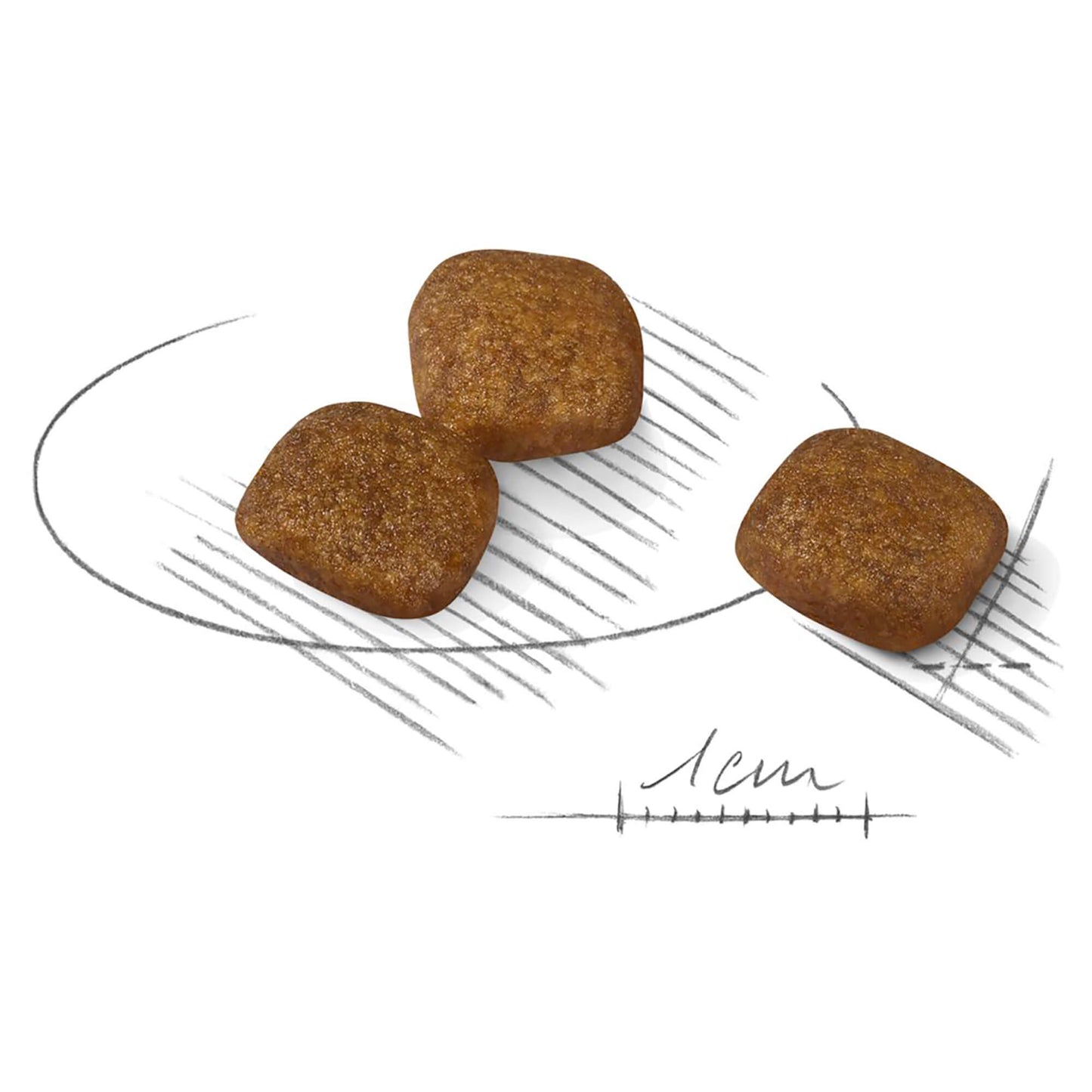 Royal Canin Mini Coat Care Adult Dry Dog Food (100000018997) [default_color]