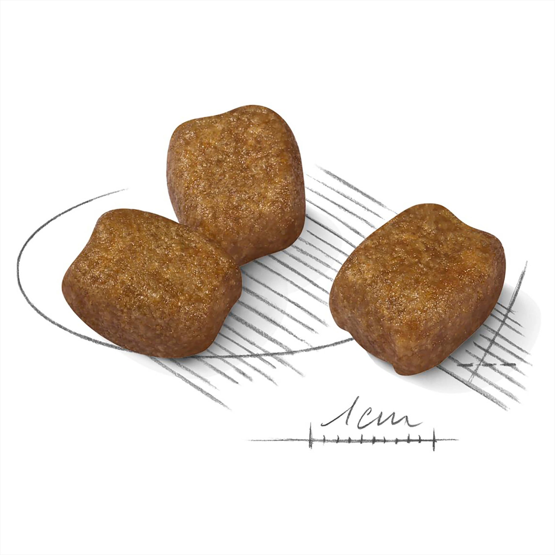 Royal Canin Mini Dental Care Adult Dry Dog Food (100000018998) [default_color]