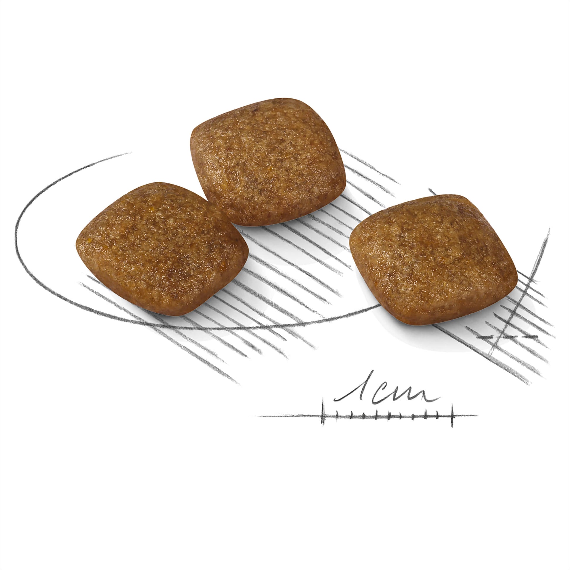 Royal Canin Mini Relax Care Adult Dry Dog Food (100000019001) [default_color]