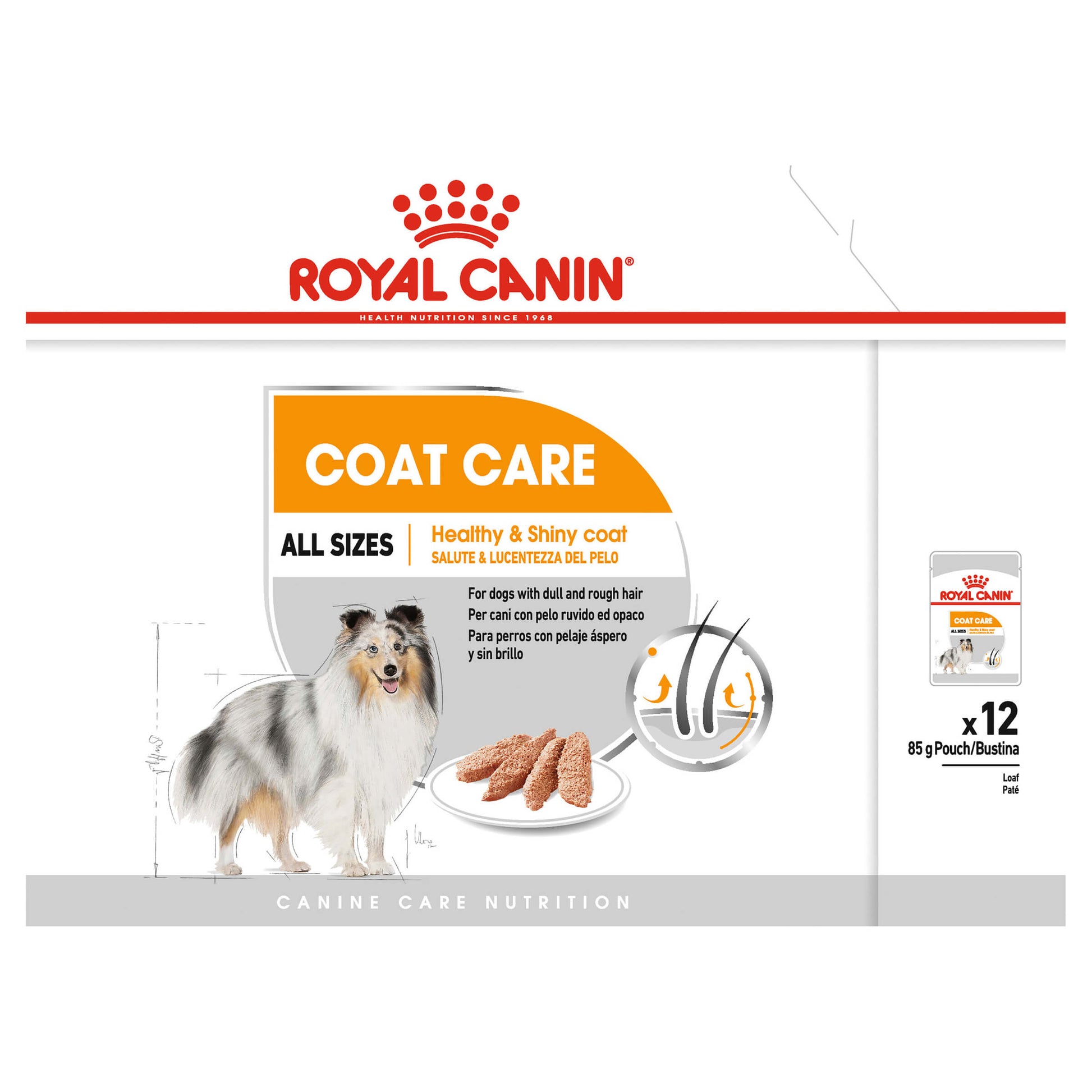 Royal Canin Coat Care Adult Loaf Wet Dog Food (100000019007) [default_color]