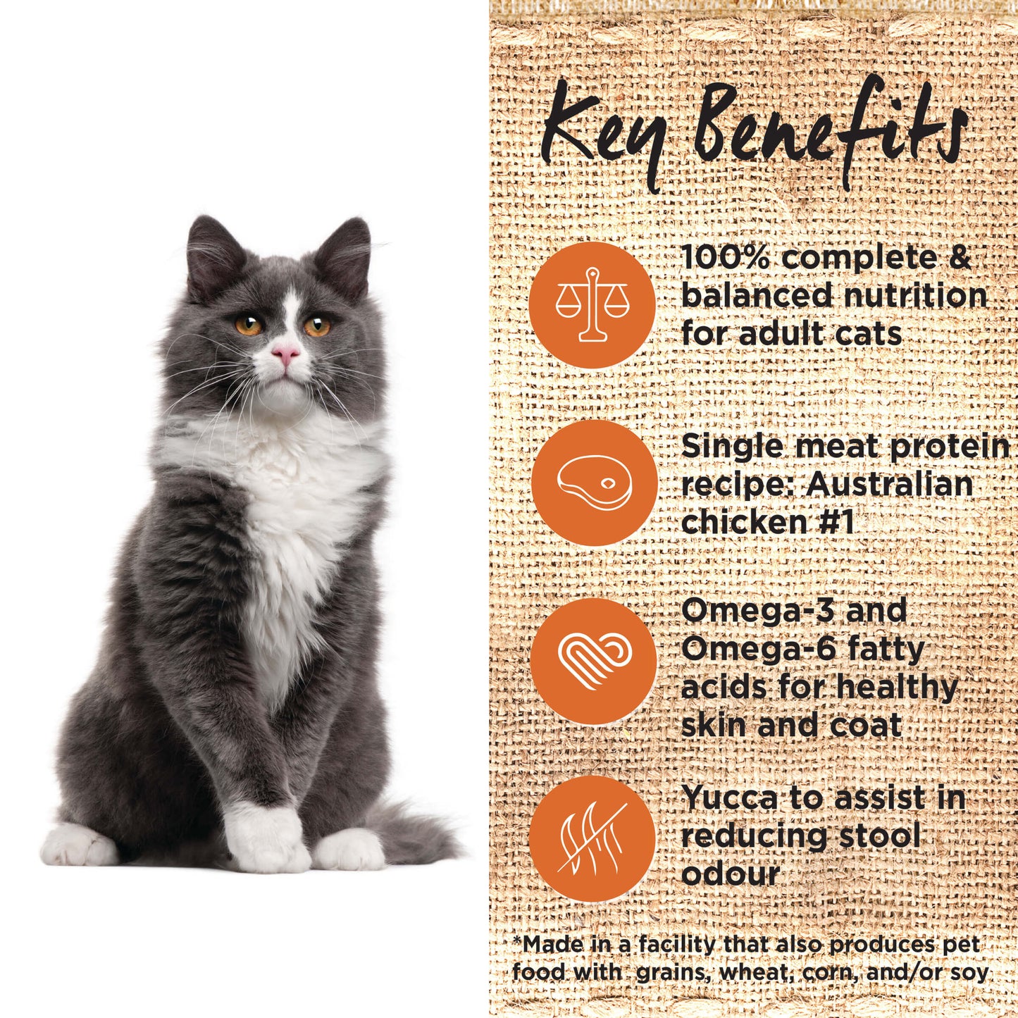 Ivory Coat Grain Free Adult Chicken Dry Cat Food