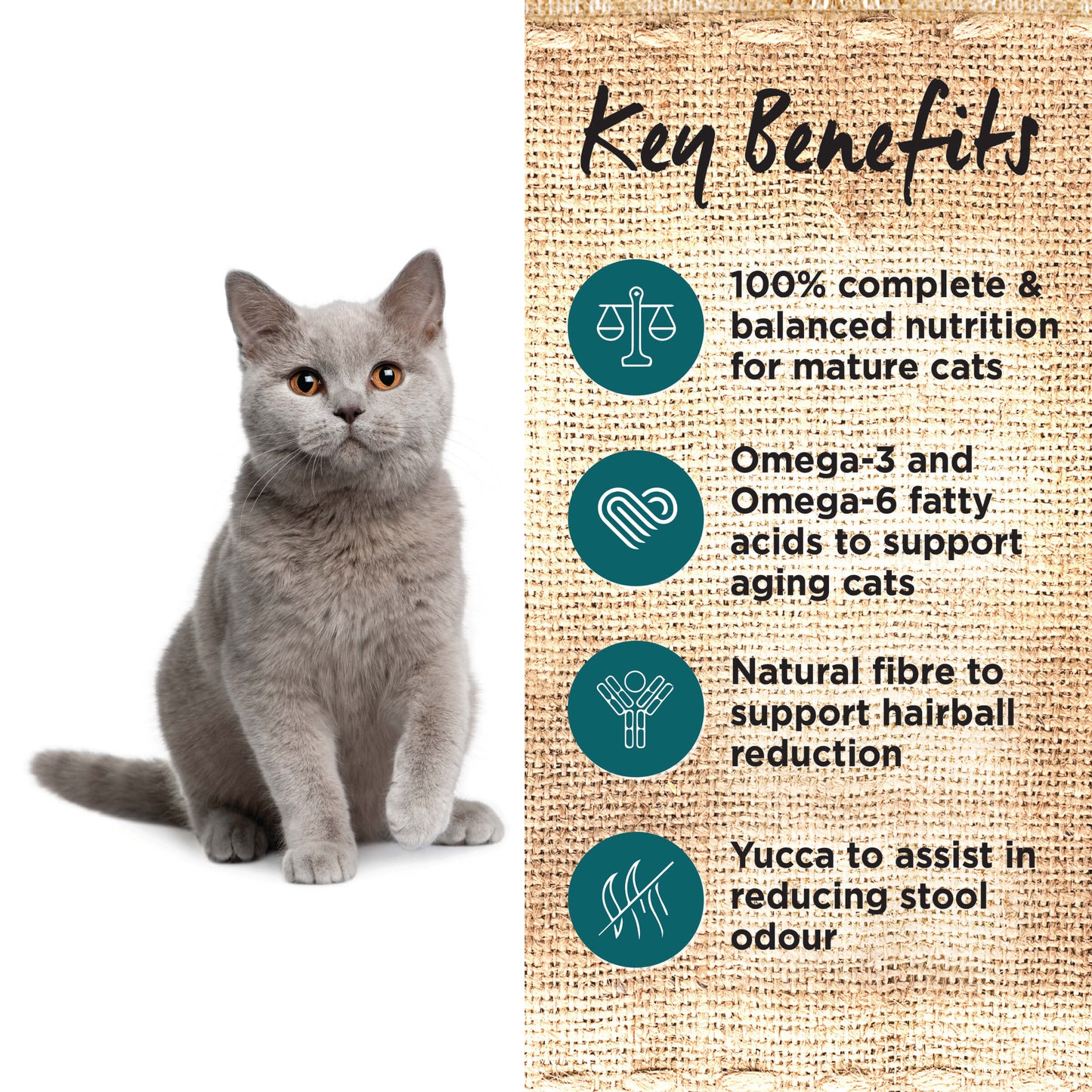 Ivory Coat Grain Free Mature Ocean Fish & Chicken Dry Cat Food