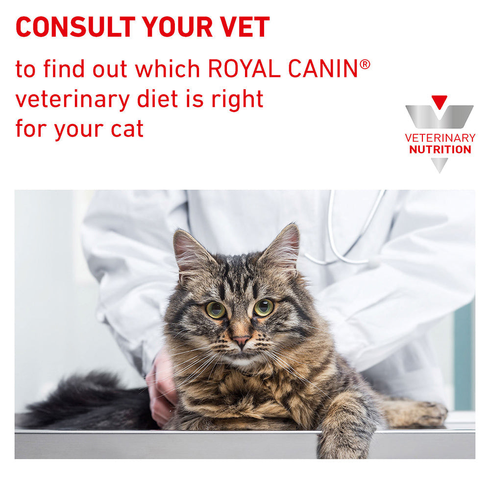 Royal Canin Veterinary Diabetic Adult Wet Cat Food Pouches
