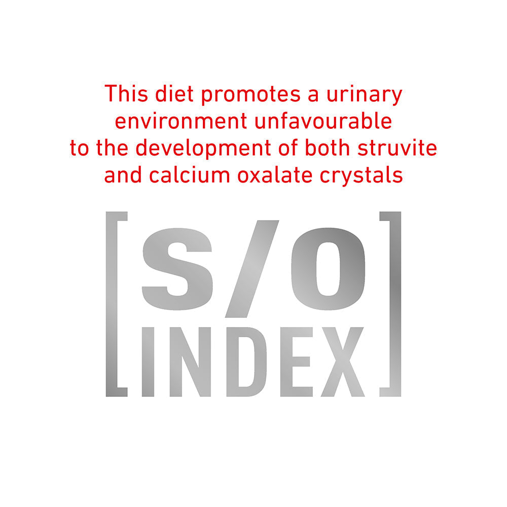 ROYAL CANIN VETERINARY DIET Gastrointestinal Adult Wet Cat Food Pouches