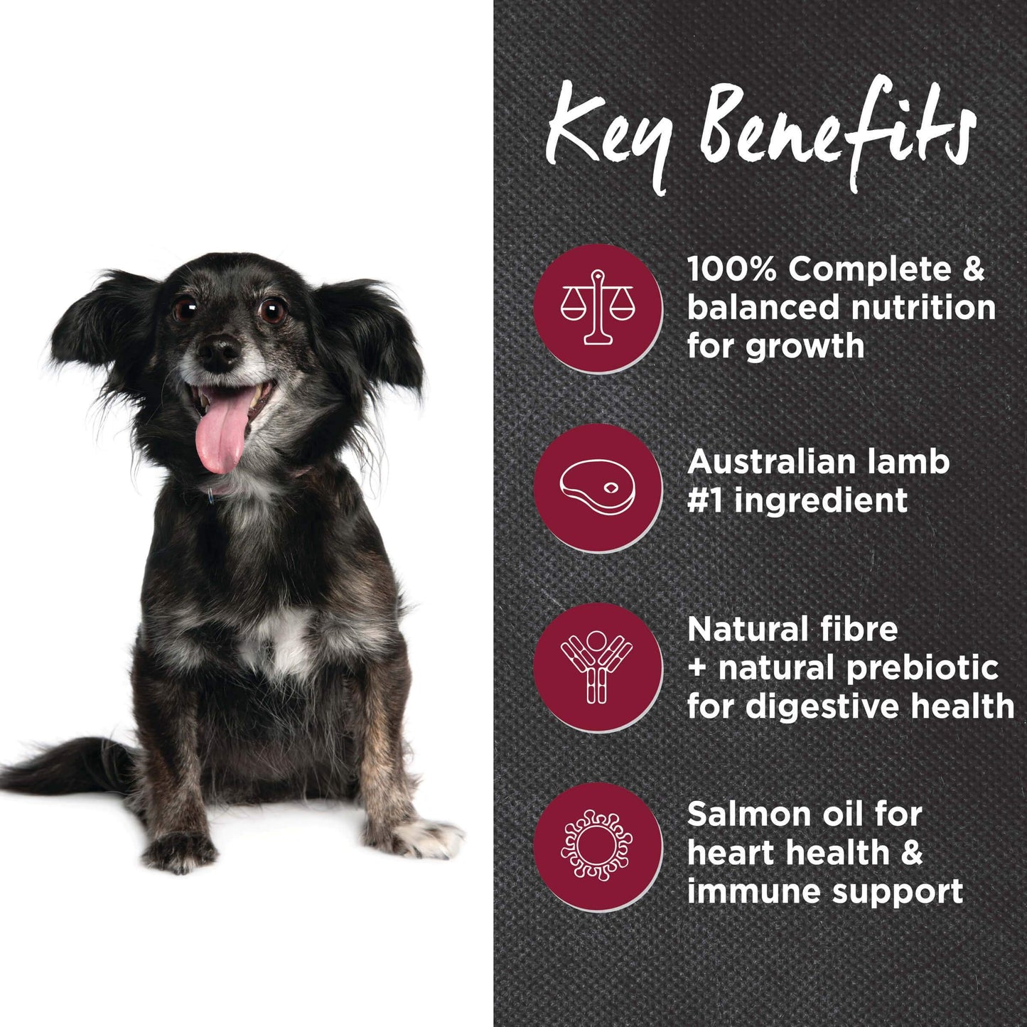 IVORY COAT LAMB & BROWN RICE 20KG