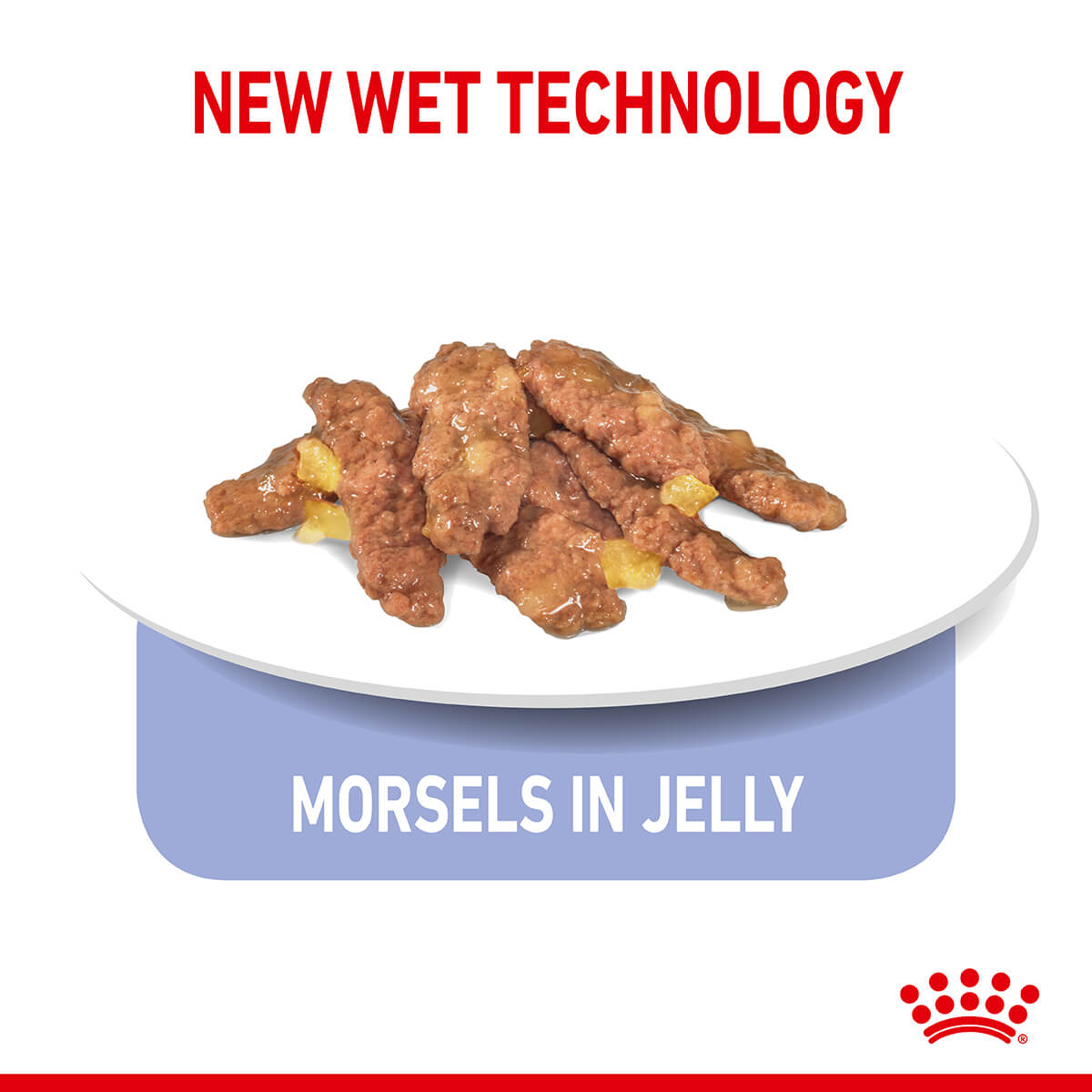 Royal Canin Indoor Jelly Wet Cat Food